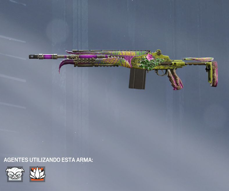 CONTA R6 LVL 553