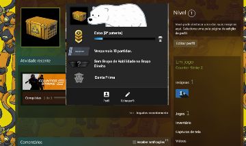 Conta Prime CS2 ( MELHOR PREÇO DO SITE )