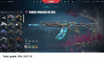 CONTA DE VALORANT SKINS (2000 GASTOS)