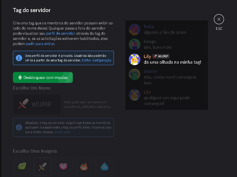 [PROMOÇÃO] SERVIDOR COM TAG DE GUILDA COM IMPULSOS | DISCORD