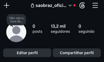 Conta do Instagram com 13k