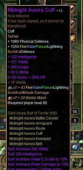 Tamer Full DR PvE +12