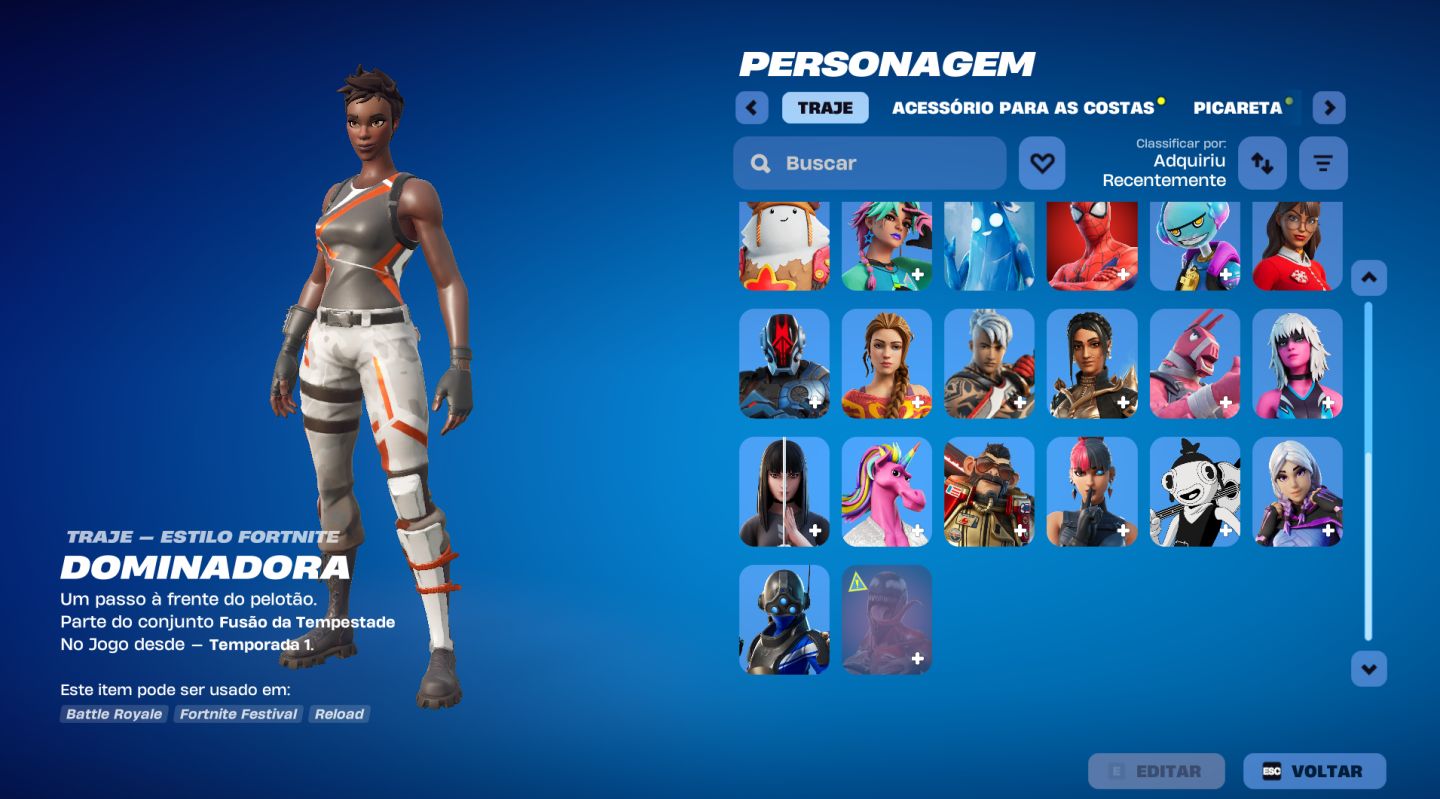 CONTA FORTNITE BASICA, LIDER DA EQUIPE AZUL