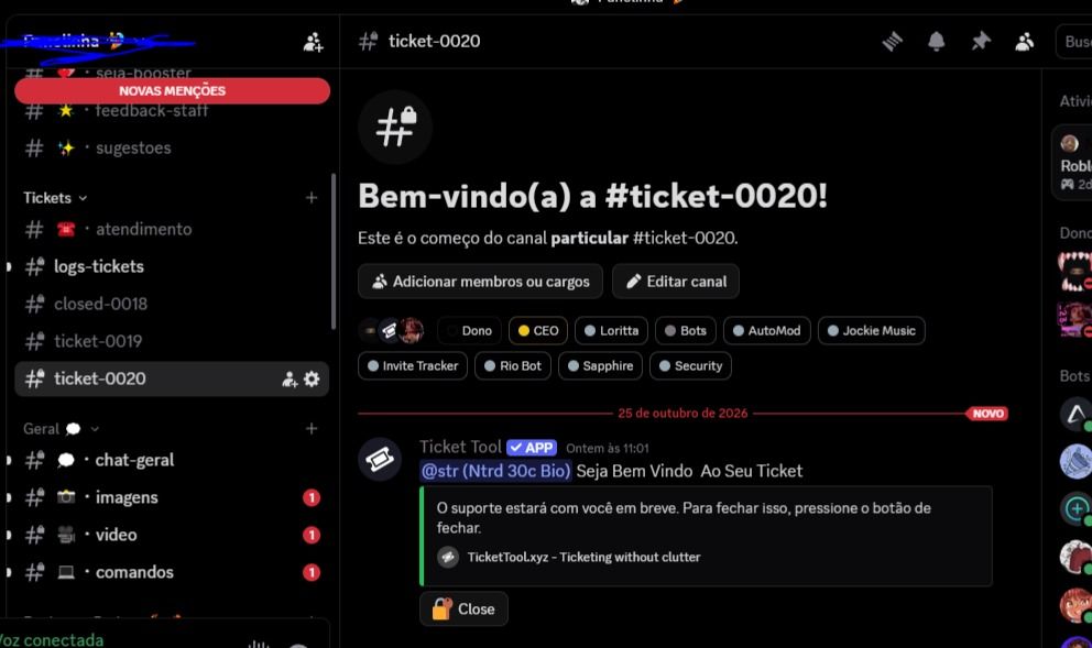 Servido de discord +250 mebros reias