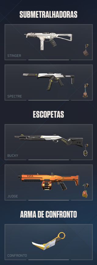 CONTA VALORANT BOA COLEÇÃO DE SKINS