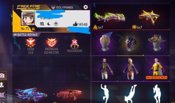 Conta de ff level 74