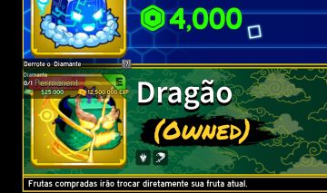 Conta com Dragon Permanente - Roblox Blox Fruits