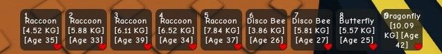 Conta com candy blossom + 4 raccon e 2 disco bee - GROW A GARDEN -