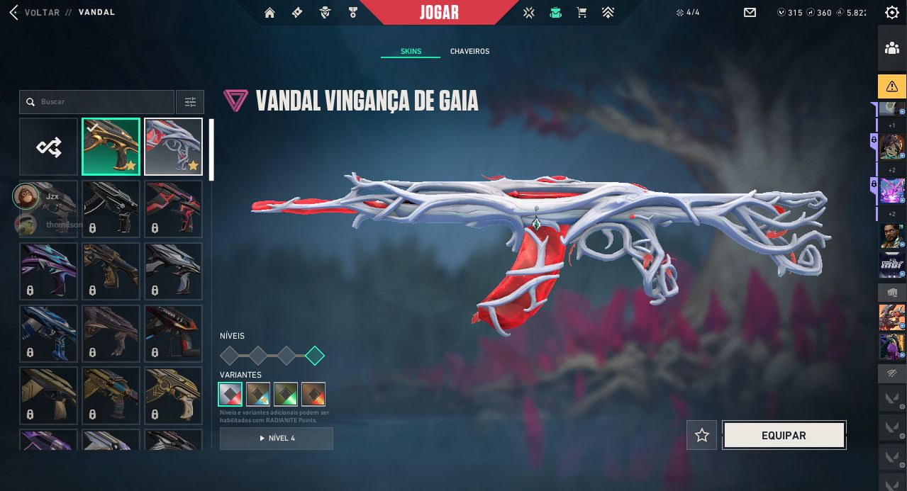 Conta valorant vandal do macaco e +