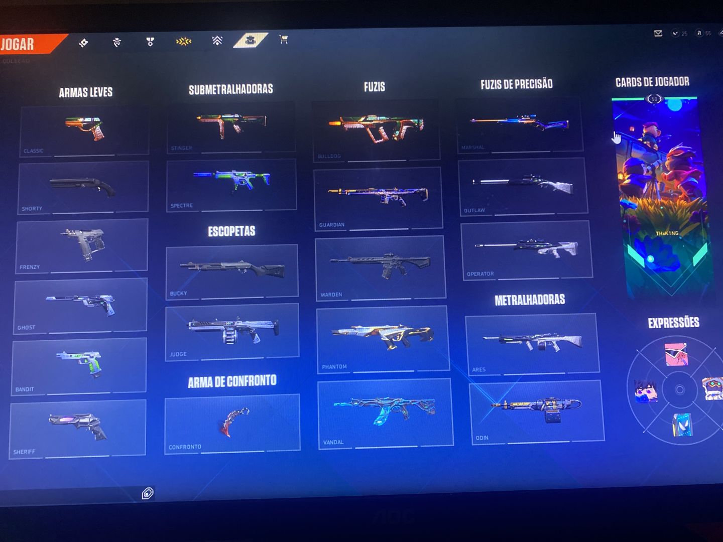 Conta valorant full acesso cheia de skins