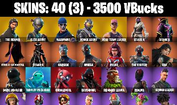 40 Skins + The Reaper + OG STW FP2 + Rogue Agent + Take The L + Verve + 3500 VB