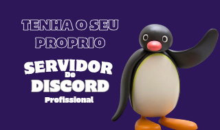 Servidor Discord Profissional e Completo