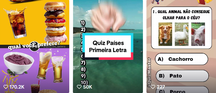 GANHE DE 100 A 500 SEGUIDORES POR DIA NO TIKTOK DA FORMA CORRETA
