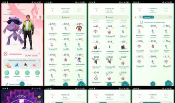17 Lendários Lv. 30 | Mewtwo + Nihilego + Buzzwole| 20+ Shinies | D111