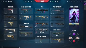 Conta Valorant com skins +800 reais gastos acesso total