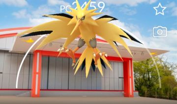 Zapdos Lendário /moltres com fundo