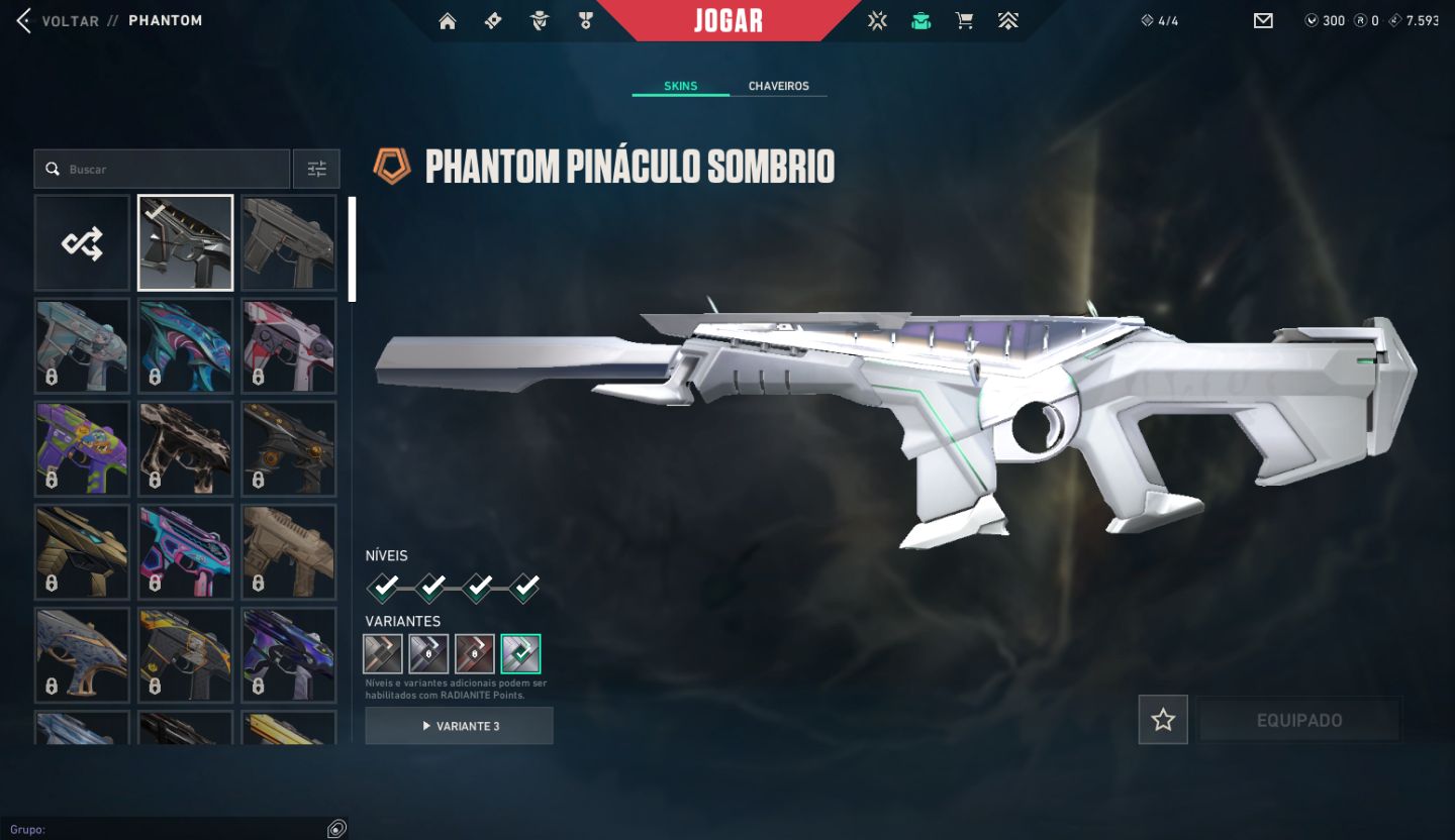 CONTA VALORANT VERIFICADO, NIVEL 21 COM PACOTE PINACULO SOMBRIO