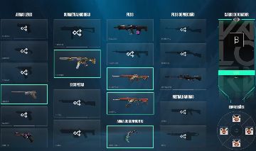 Conta Beta Valorant Com Várias Skins + Lol | 253 Skins Lol | Mono Sett