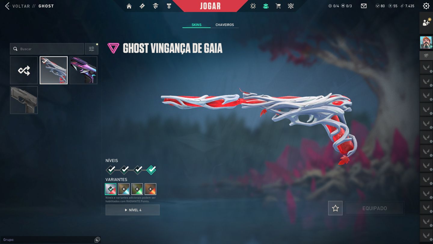 CONTA DE VALORANT. ZEROFANG E KURONAMI
