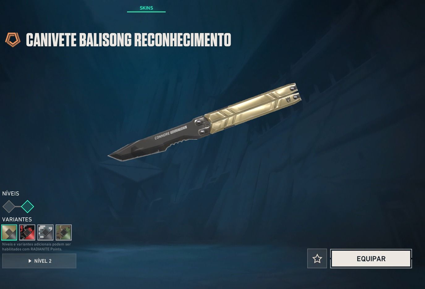 CONTA DE VALORANT FULL ACESSO COM MUITAS SKINS !!