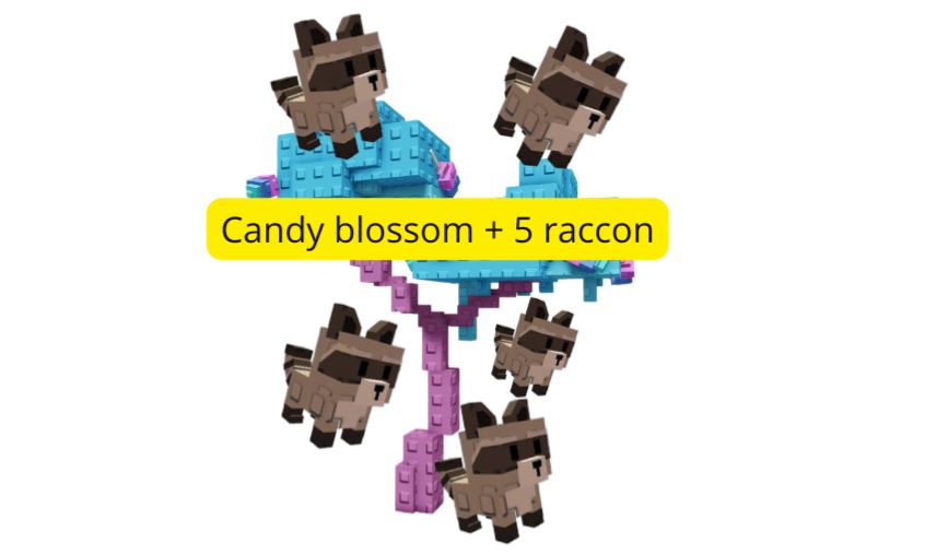 Conta com candy blossom + 4 raccon e 2 disco bee - GROW A GARDEN -