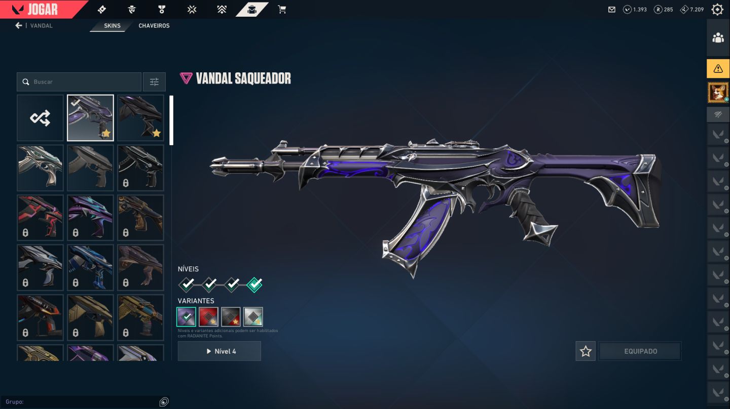 Valorant Conta Lvl 128 | +350 Reais gastos | Vandal Saqueadora e Faca XenoHunter