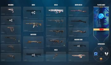 5K GASTOS / 11 VANDAL + 8 PHANTOM + 5 FACAS - EX ASCENDENTE