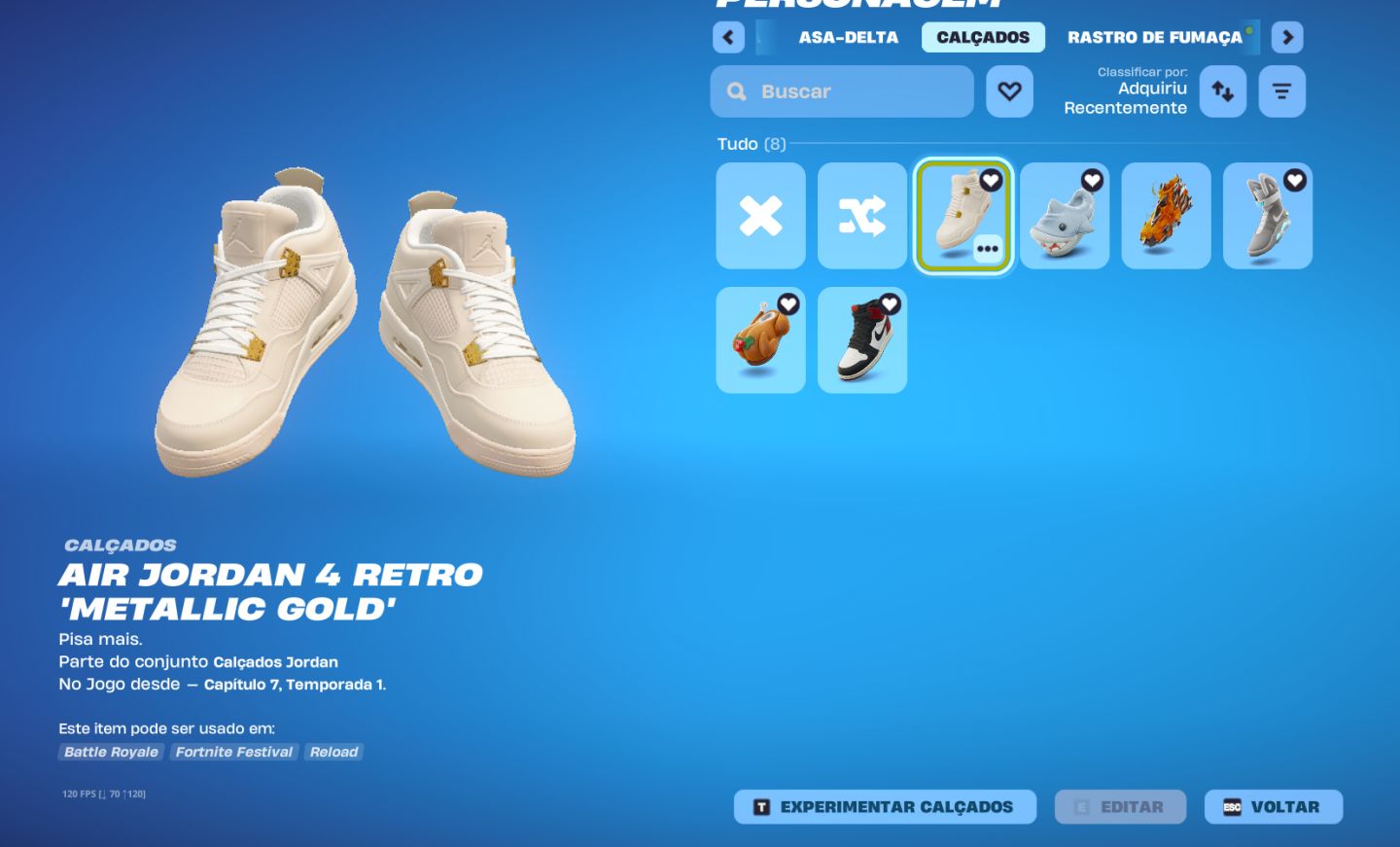 CONTA 6 ANOS DE FORTNITE TRYHARD