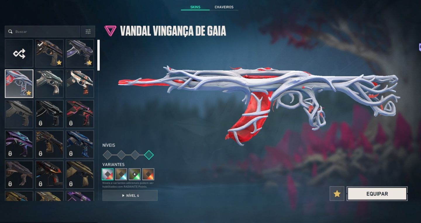 [CONTA VALORANT COM MUITAS SKINS, COMBO VANDAL PRELUDIO + XENOHUNTER NIVEL 246]