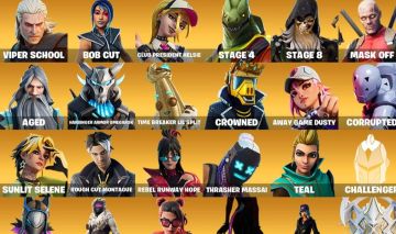 Conta Com Stw Fundador E Muitas Skins