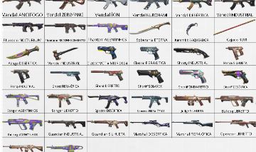Conta com 38 Skins, + R$1000 gastos + skin rara vct X mibr 2024