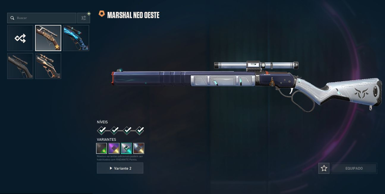 Conta de valorant - Varias skins - Skin champions 2024 - lvl 177 - com dados