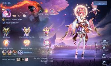 CONTA SUPORTE PREMIUM | 337 Skins + Recalls Únicos | Colecionador Prestigiado 3