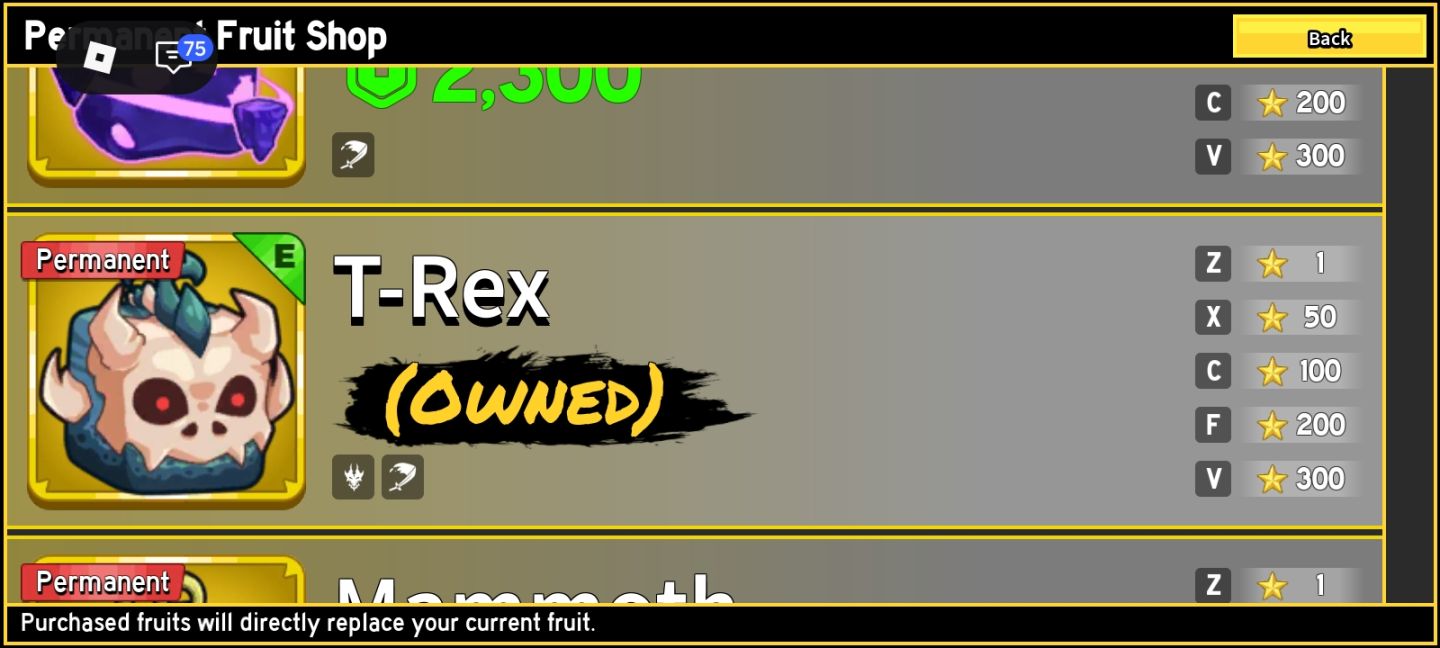 Conta Roblox (project slayers, 1 limited itens, Blox Fruits)