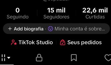 CONTA TIK TOK 14K SEGUIDORES BRASILEIRA