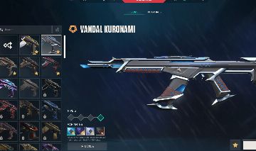 Conta valorant com muita skin