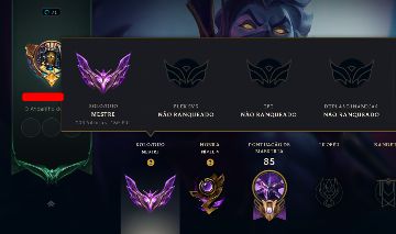 CONTA MESTRE MAIN KASSADIN