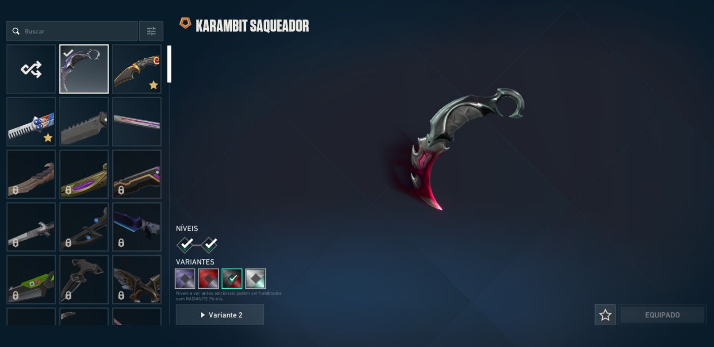 Conta de Valorant muito completa com mais de 2k gasto