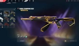 Conta com champions 23 e 25 e várias outras skins