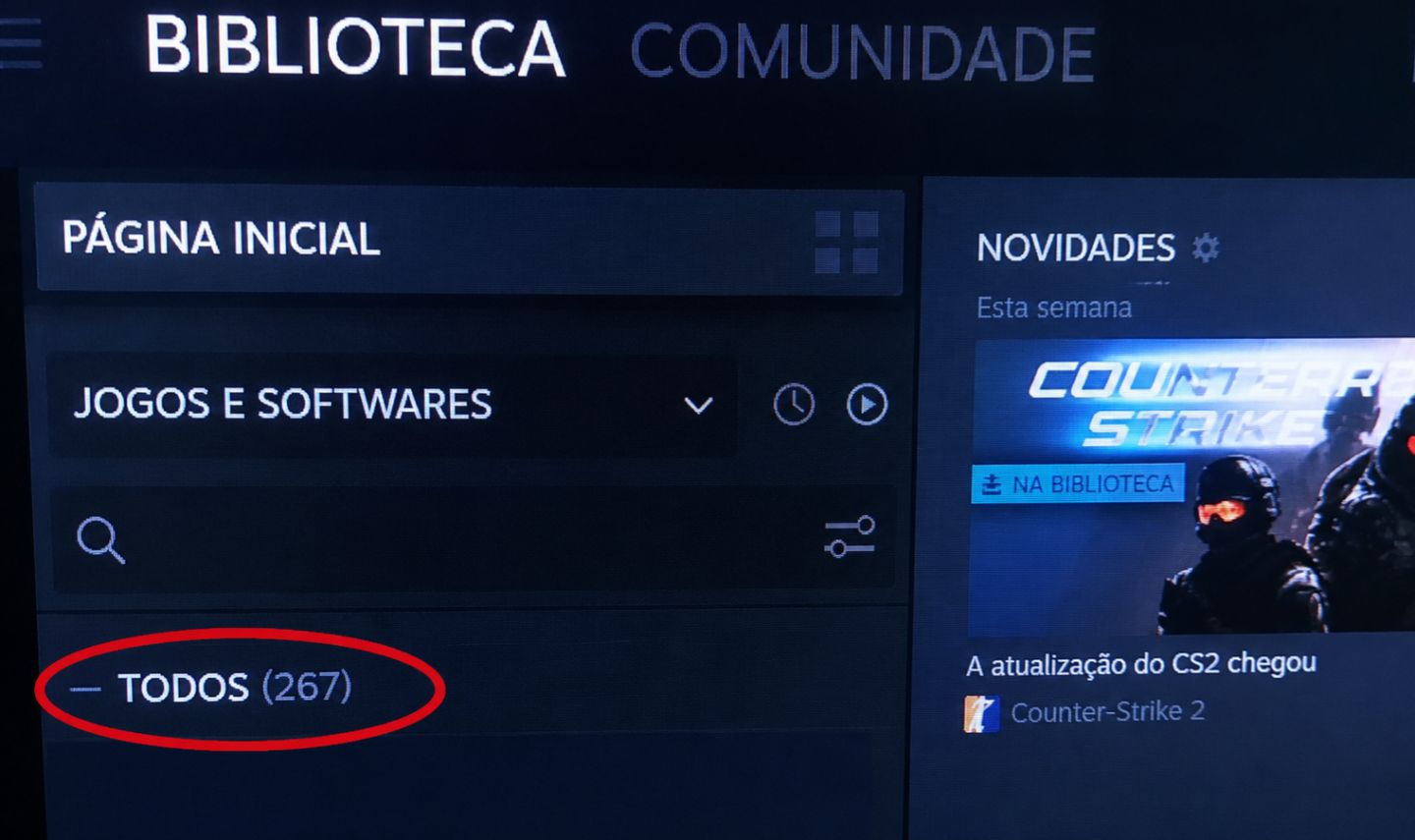 CONTA STEAM COM MAIS DE 6000 INVESTIDO, MAIS DE 300 JOGOS, DLCs, E MUITO MAIS