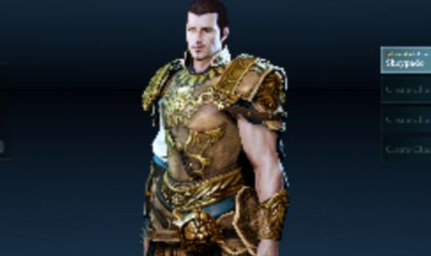 Conta archeage level max