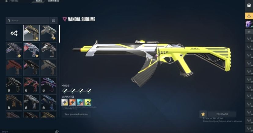 Conta valorant varias skins