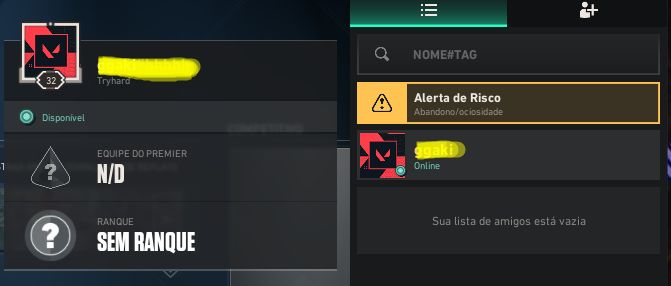 Conta diamante/ascendente sem skins