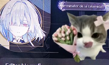 Conta de wuwa com augusta s1 + bis + personagens limitados
