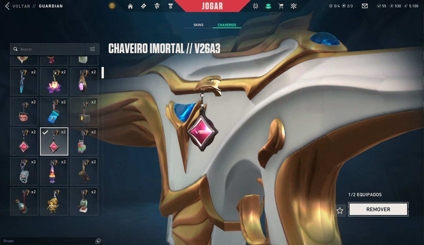 Conta Valorant full agentecom nv 314 peak imortal 2, 3 skins.