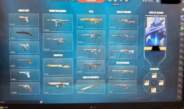 CONTA VALORANT - PLATINA (FULL ACESSO) + COMPROVANTES DE VP + DADOS + EMAIL