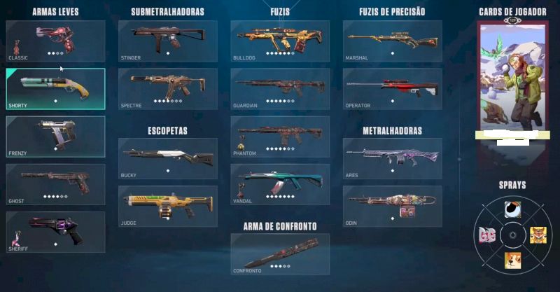 Conta valorant beta e skin