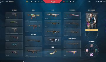 Conta com Phantom Champions e todos os agentes. Único dono