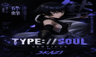 TYPE SOUL SERVIÇOS / THE ALMIGHTY QUEST