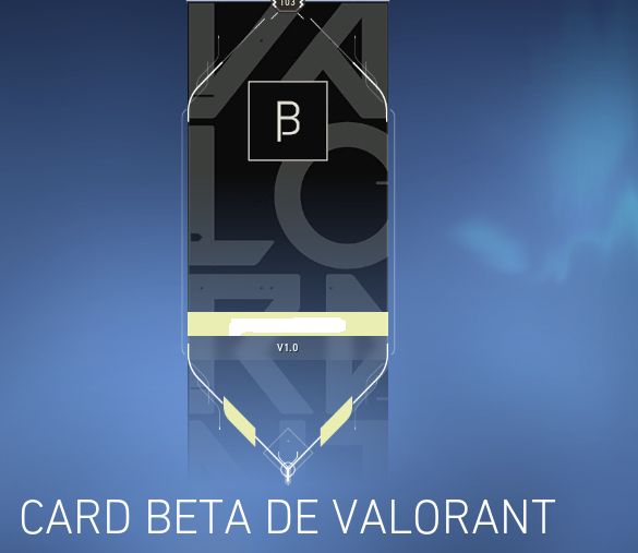 Conta valorant beta e skin